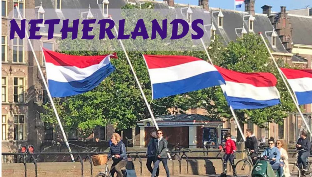 Top 5 Companies Offering Visa Sponsorship Netherlands