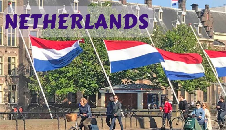 Top 5 Companies Offering Visa Sponsorship Netherlands